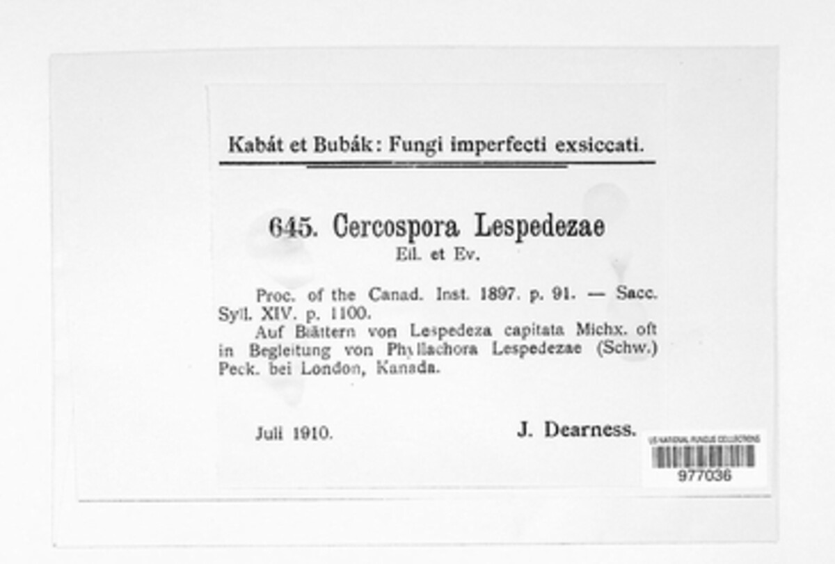 Cercospora lespedezae image